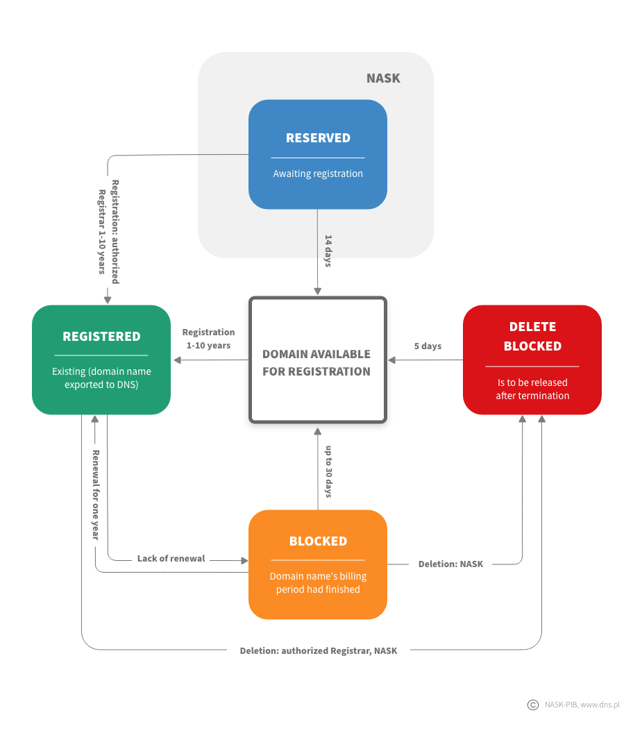 .pl domain name life cycle